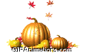 falling leaves on pumpkin gourds thanksgiving animation