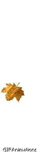 Falling single golden leaf animation