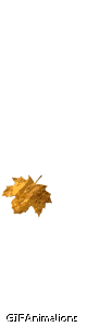 Falling single golden leaf animation
