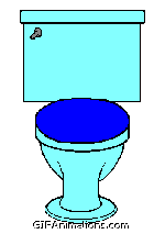 Cat popping out of toilet