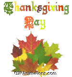thanksgiving day with multicolored leaves animation