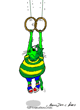 green yellow cat exercising on rings