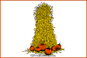 pilgrim hunting turkey thanksgiving funny animation – GIF Animations