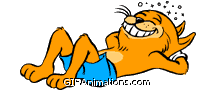 Breathing orange cat