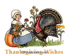 turkey pilgrim girl pumpkin thanksgiving wishes animation