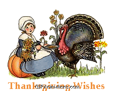 turkey pilgrim girl pumpkin thanksgiving wishes animation