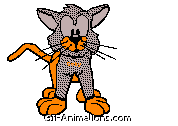 orange gray cat