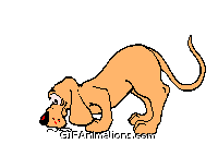 cat bites dog tail