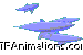 whale swimming