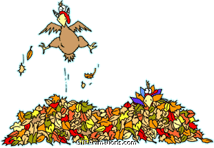 Turkey jumping in leaf pile thanksgiving animation