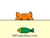 cat finds and eats fish