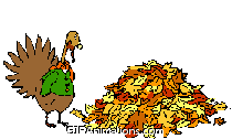 turkey jumping into single leaf pile thanksgiving animation