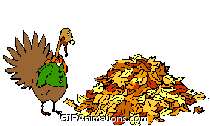 turkey jumping into single leaf pile thanksgiving animation