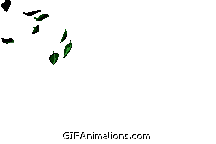 Green Falling Floating leaves animation