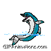 dolphin clapping