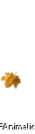 Falling single golden leaf animation