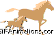horse