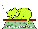 Sleeping green cat on table