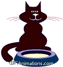 brown cat and food bowl