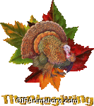 turkey on red green leaves thanksgiving animation
