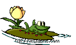 frog