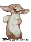 rabbit