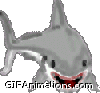 dolphin gray