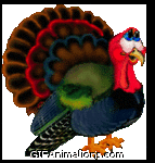red headed talking turkey thanksgiving animation