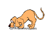 cat bites dog tail