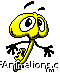 insect