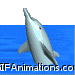 dolphin standing on tail