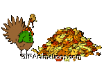 turkey jumping into single leaf pile thanksgiving animation