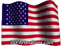 Waving American Flag