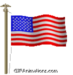 Waving American Flag